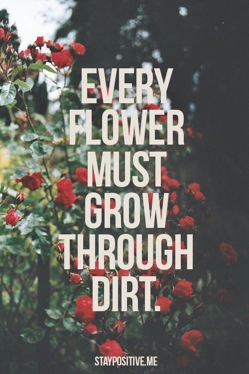Every flower must grow through dirt