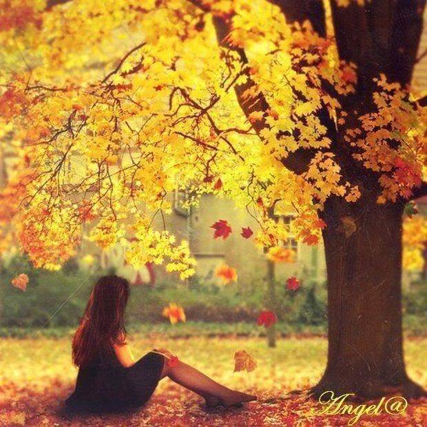 Waiting for Him Waiting for Him