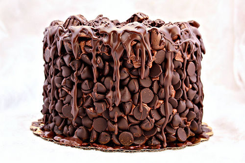 Chocolate wasted cake Chocolate wasted cake