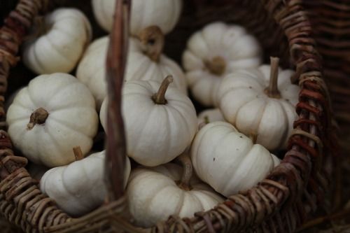 White Pumpkin