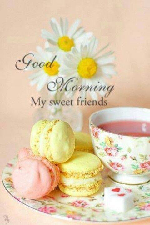 Good Morning Friends