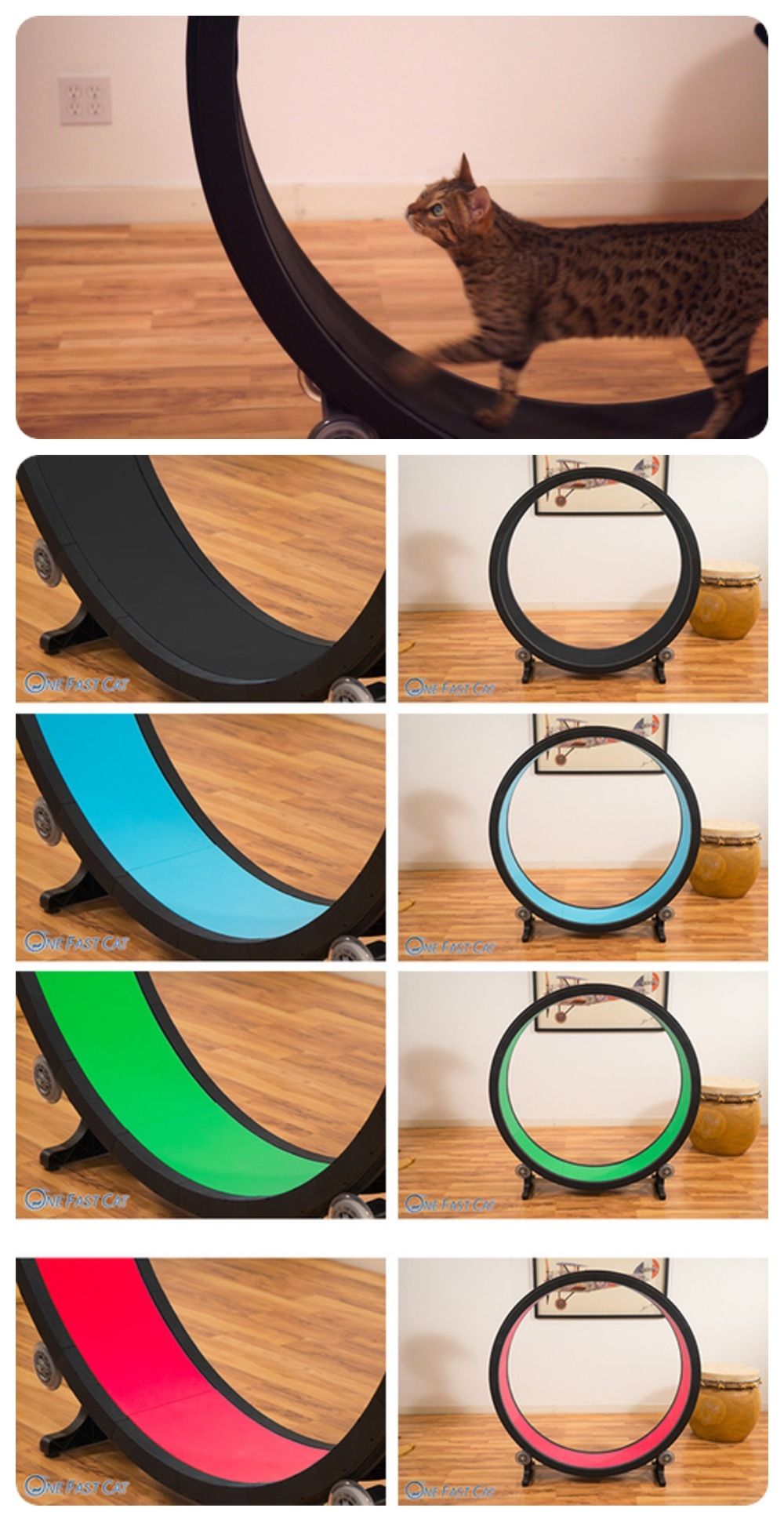 Exercise wheel for cats Exercise wheel for cats