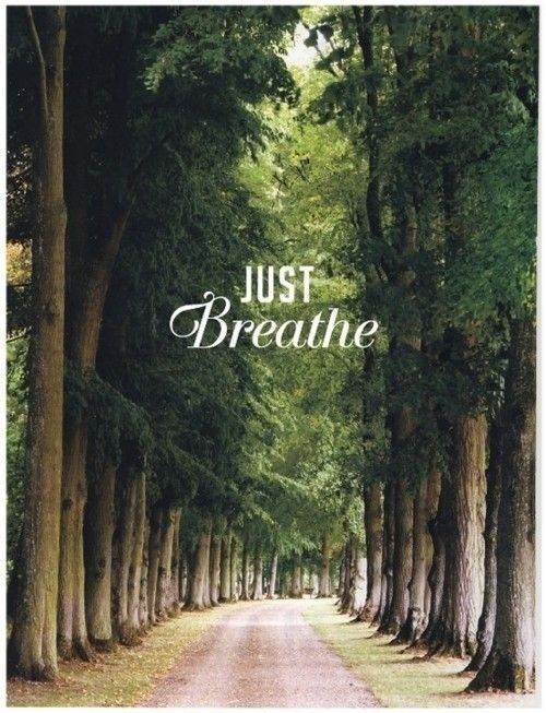 The breathe The breathe