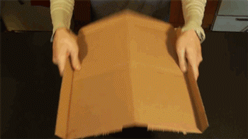 Use Pizza Box For Plates