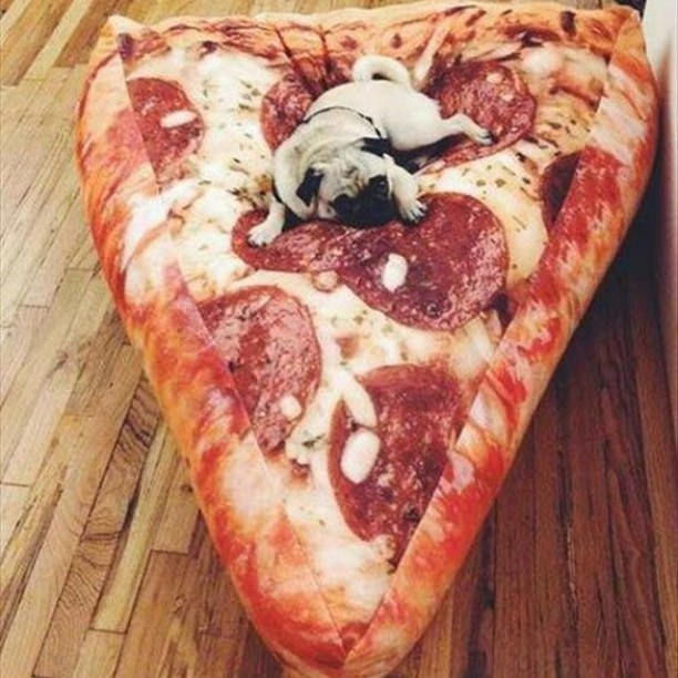Pizza Cushion Pizza Cushion