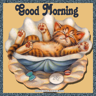 Good Morning
