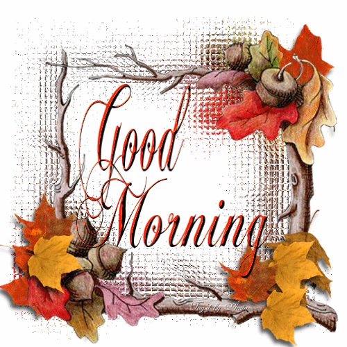 Good Morning Good Morning