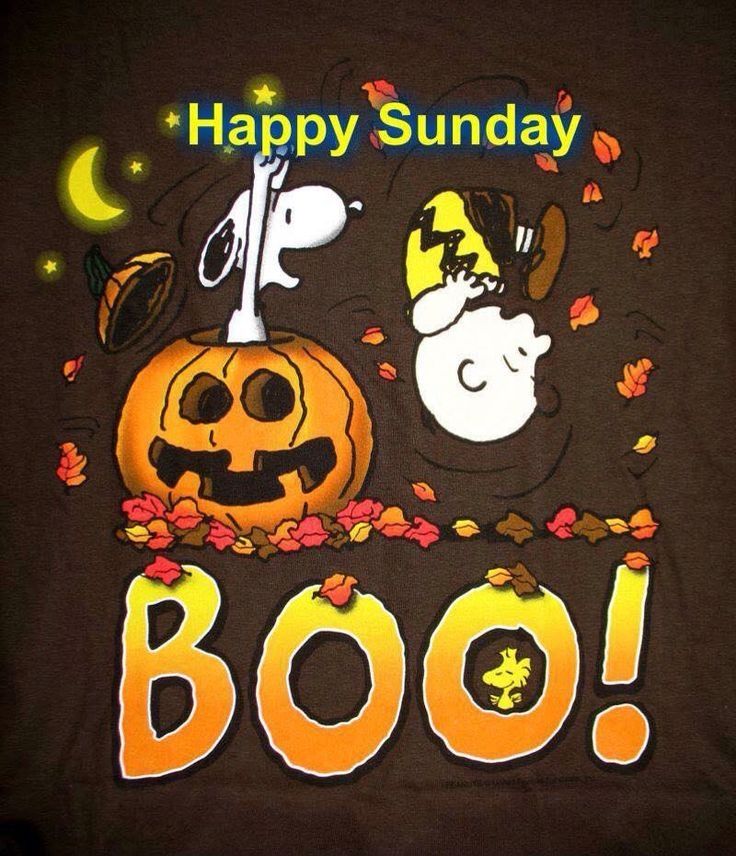 Happy Sunday