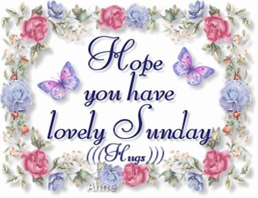 Have a lovely Sunday Have a lovely Sunday