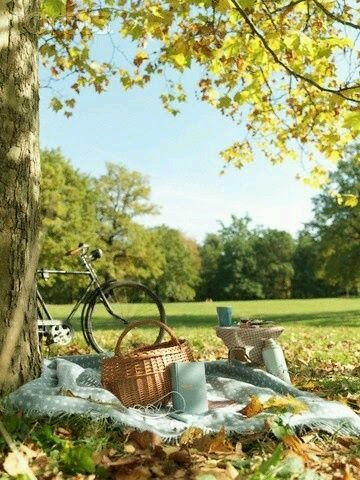 Fall Picnic