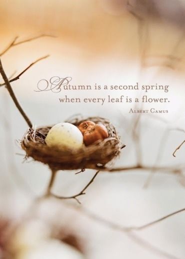 Autumn is a second spring when every leaf is a flower Autumn is a second spring when every leaf is a flower