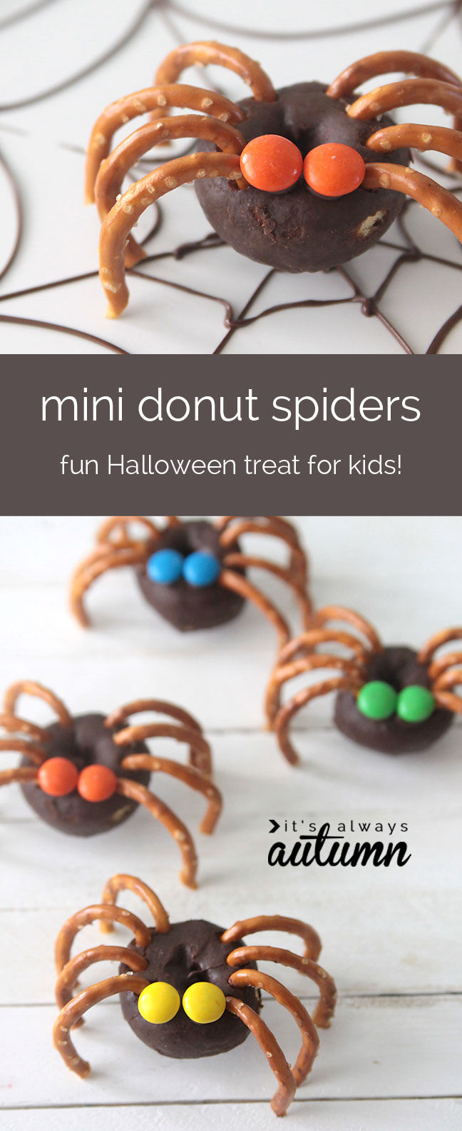 Mini Donut Spiders