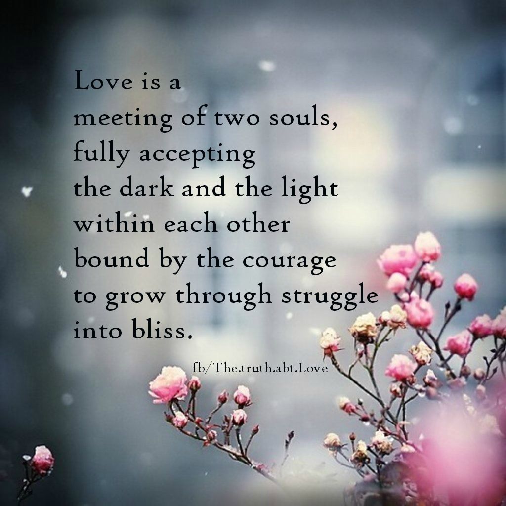 Love is 