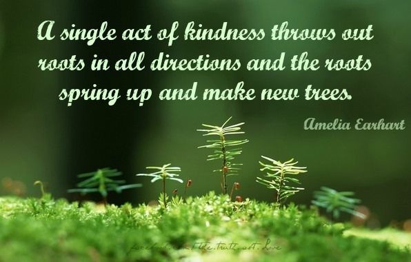 kindness