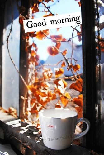 good morning good morning