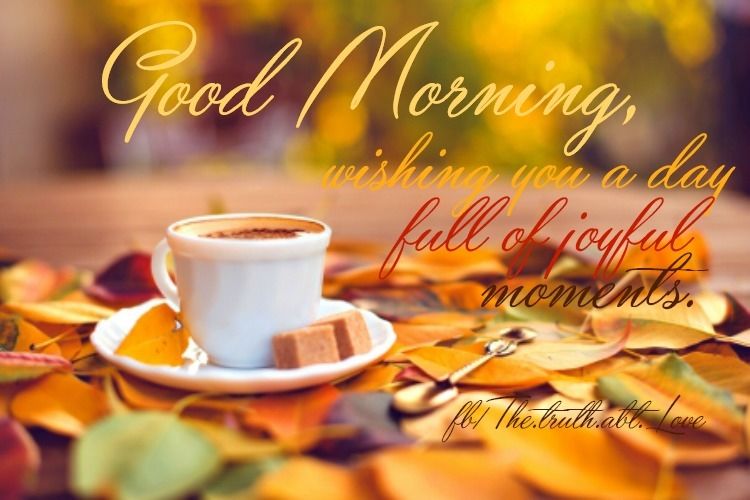 good morning