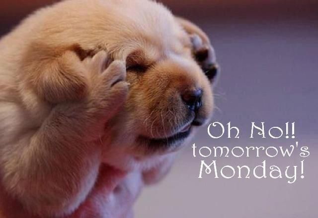 Tomorrow is monday