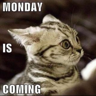Monday is coming Monday is coming