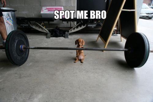 Spot me bro