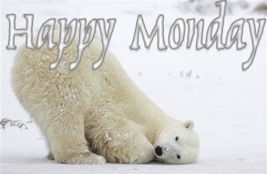 Happy Monday Happy Monday
