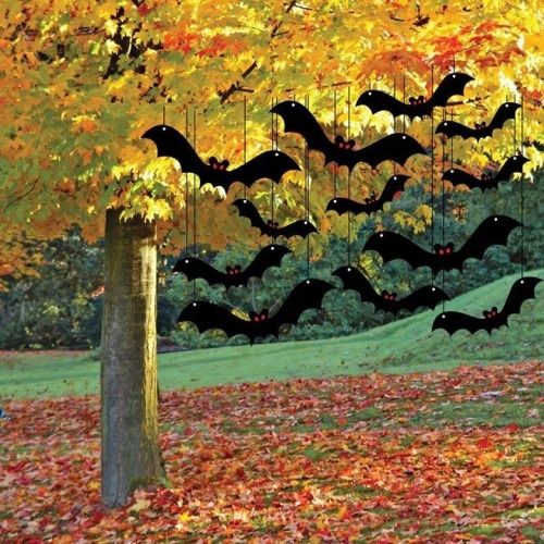 Hanging bats