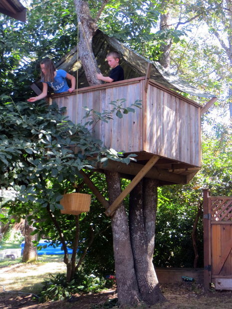 How to build a treehouse