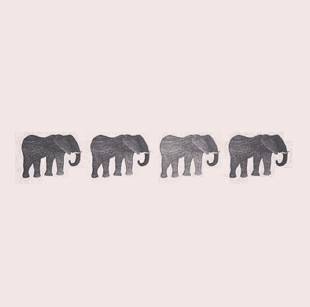 Elephants Elephants