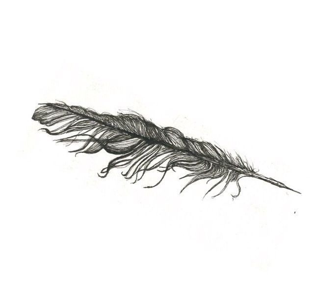 Feather Feather