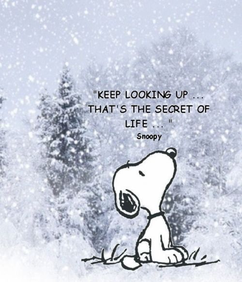 Keep looking up Keep looking up