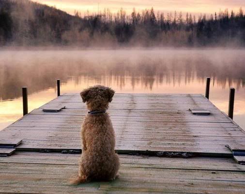 Waiting