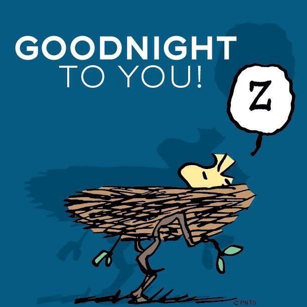Goodnight to you Goodnight to you
