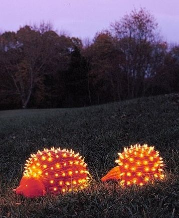 Porcupine Pumpkins