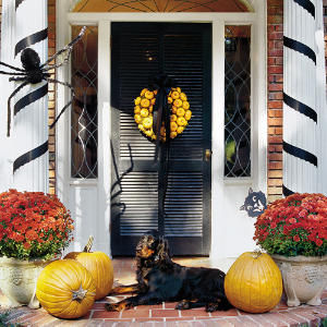 Wreath of Pumpkins Wreath of Pumpkins