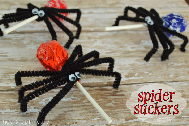 Spider suckers Spider suckers