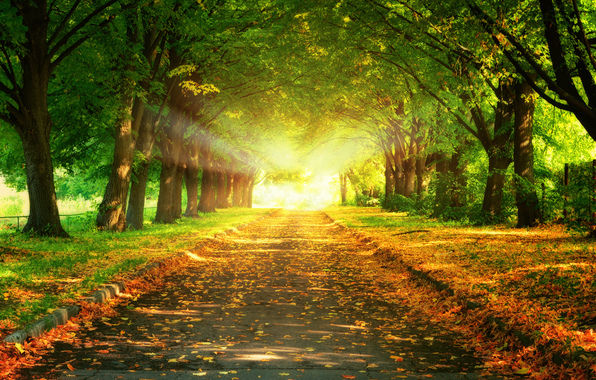 Autumn Rays of Light