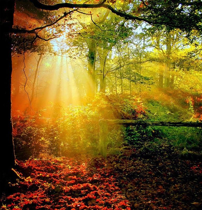 Autumn Spotlight