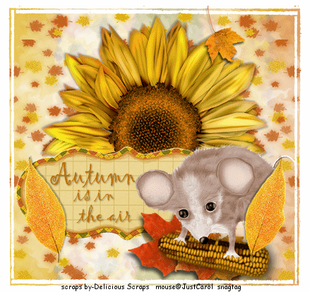Autumn is in the Air