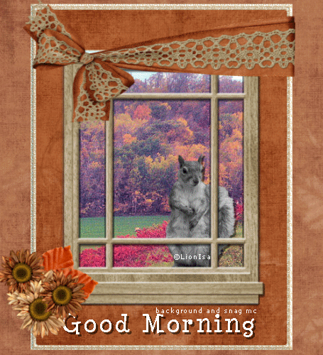 Good Morning Good Morning