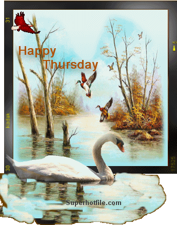 Happy Thursday