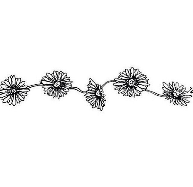 Daisy