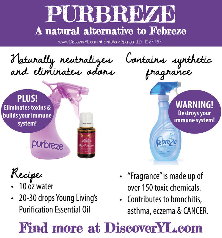 DIY All Natural Air Freshener DIY All Natural Air Freshener