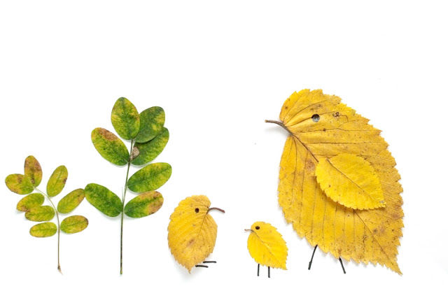 Leaf animals Leaf animals