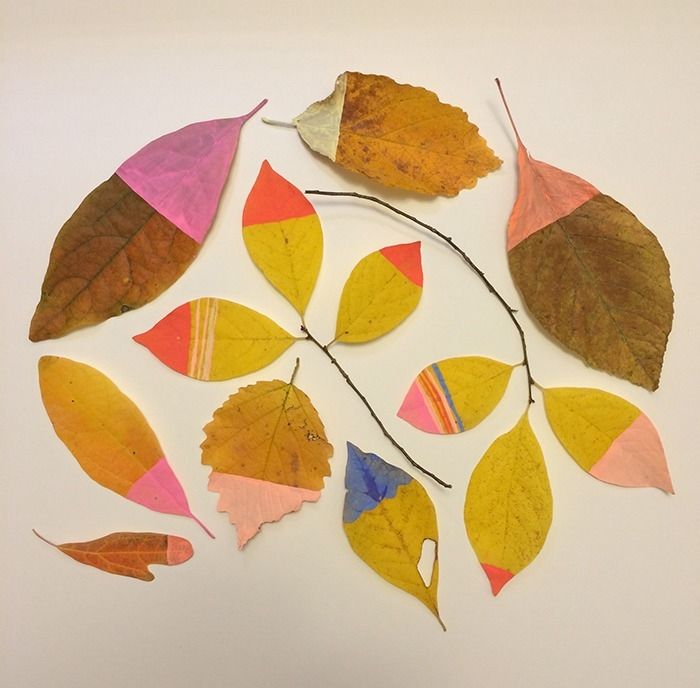 Paint dipped leaves