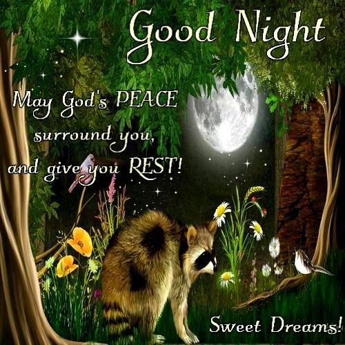 Good Night Good Night