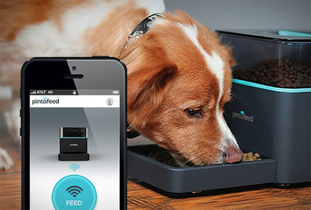 Automatic Pet Feeder Automatic Pet Feeder