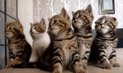 All together now.. All together now..