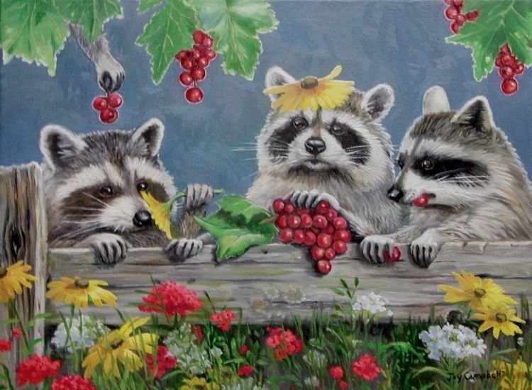 Racoons in the Fall by Joy Campbell Racoons in the Fall by Joy Campbell