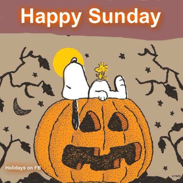 Happy Sunday
