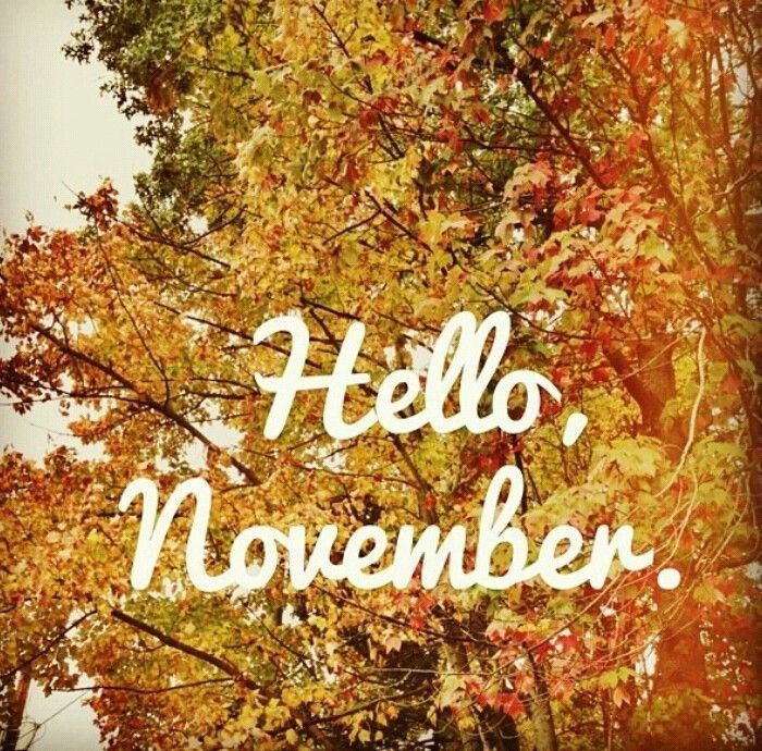 Hello November