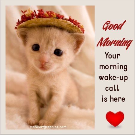 Good Morning